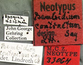 Media type: image;   Entomology 33064 Aspect: labels